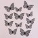 Set for decorating "Butterflies", 12 pieces, black color