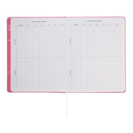 Universal diary for the 1-11 grade Forget Trubles, solid cover, artificial leather, silkography, lies, 80 g/m2-5
