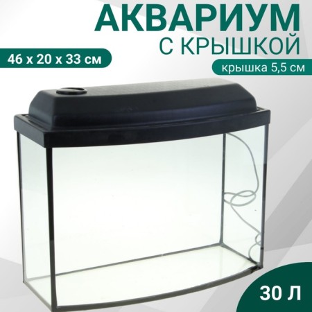 Aquarium "TV" with a lid, 30 liters, 46 x 20 x 33/38 cm, black