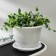 Pot with the pallet "Viola", 5 l, the color is white
