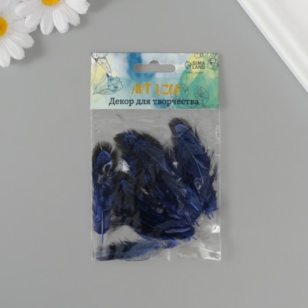 Decorative pheasant feather "Rice. Blue" set 20 pcs h = 5-7 cm-4