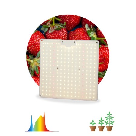 Quantum Bord Era Fito-80w-Lo-QB Quantum Board Phytoprojector Full Spectrum 80 W 3500K
