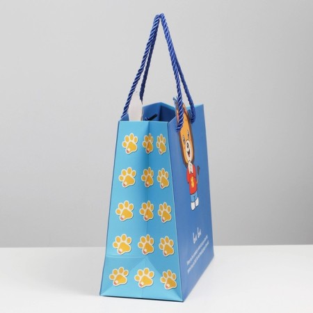 Gift package, packaging, “lion in the pocket”, 23 x 9-1