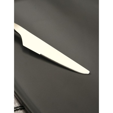 A stainless steel knife Magistro "fusion", length 23.5 cm, silver color-2