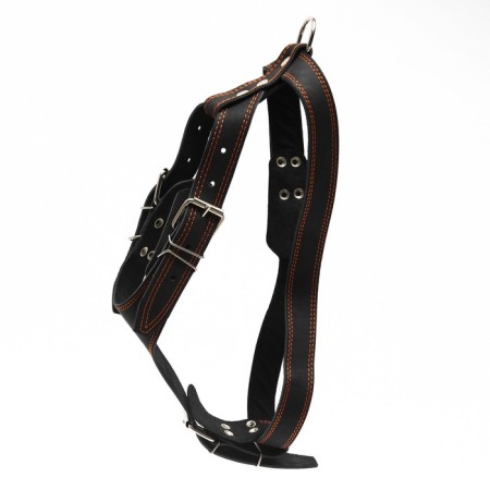 Leather harness "guard" on a felt, 3.6 cm, Osh 40-74 cm, og 95-110 cm, black-1