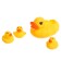 Developing set "sensory ducks", 3+
