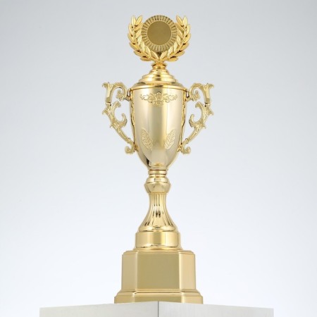 Cup 122D, award figure, gold, plastic stand, 29.5 × 11 × 8 cm.-2