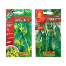 Cucumber seeds 