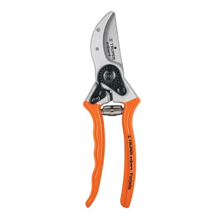 Professional secateur, 28x11x2.5 cm