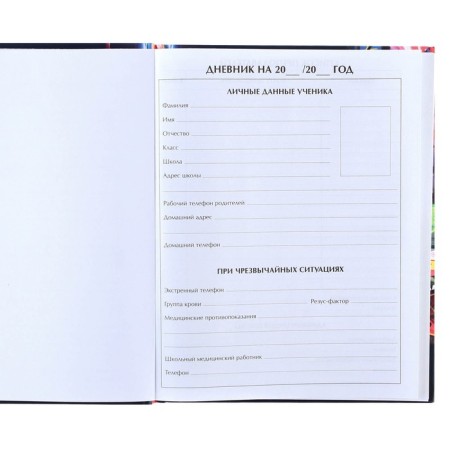 School diary, grade 1-11 in a hard cover, partial UV varnish, 40 l, cars-6