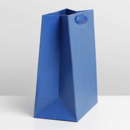 Gift Package Laminated, Packaging, Blue, MS 18 x 23 x 10 cm-1