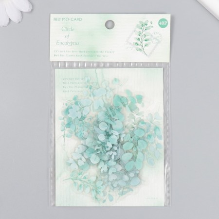 Stickers for creativity plastic "Eucalypt" set 40 pcs 0.2x10x15 cm-3