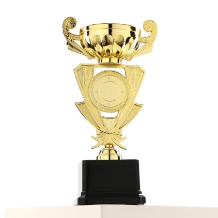 Cup 182b, award figure, gold, plastic stand, 24 × 12 × 8.5 cm.-4
