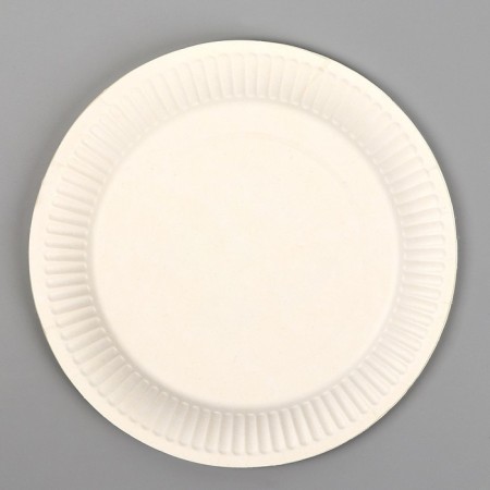 Disposable paper plate "with DR CRC!", 18 cm-2