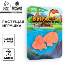 Children's experience “growing animal. Goldfish 