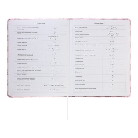 Universal diary for grade 1-11 Bear Collection, solid cover, artificial leather, silkography, lies, 80 g/m2-9