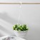 Street Kashpo with basal watering "Malva", 4.7 liters, white color, suspension as a gift