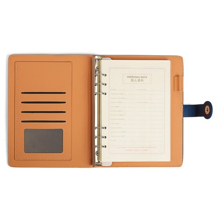 Organizer on the rings of "Classic" A5, 96 sheets in the ruler, with a strap, mix-4