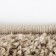 Sheggy carpet 80x80 cm, pp 100%, jute