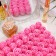 Soap rose, pink