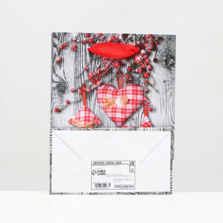 Laminated “Festive Fun” package 11.5 x 14.5 x 6 cm-3