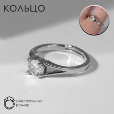 The ring 