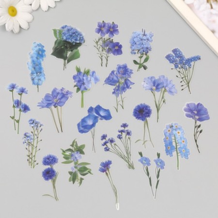 Plastic stickers "Spring flowers. Blue" set 40 pcs 15x8 cm