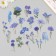 Plastic stickers "Spring flowers. Blue" set 40 pcs 15x8 cm