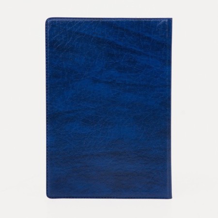 Cover for passport, blue color-2