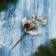 Decor "Winter admiration" berries bumps dry, 19 cm, silver