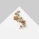 Brooch "Flowers" branch of apple tree, white color in gold