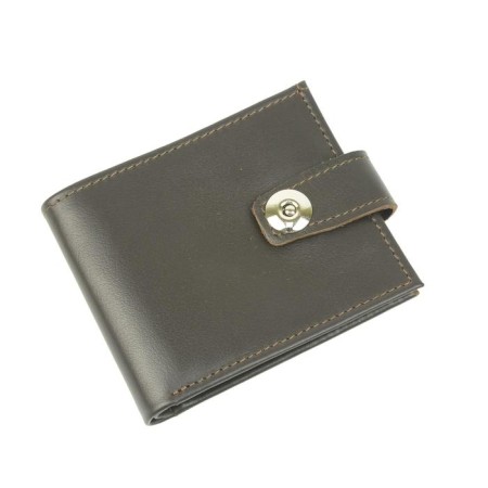 Purse, detachment for magnet, brown color