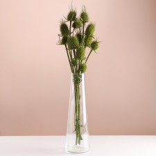 Set of dried flowers 