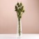 Set of dried flowers "Brush", banch 7-8 pcs, length 50 (+/- 6 cm), green