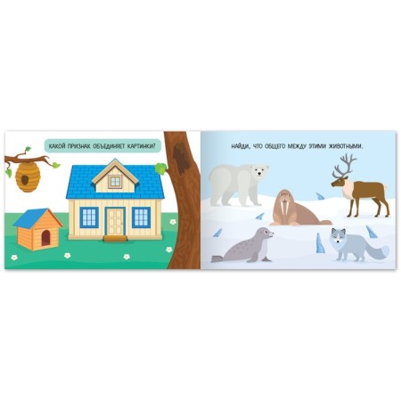 A book with the tasks "Find common", from 3 years, 24 p.-2