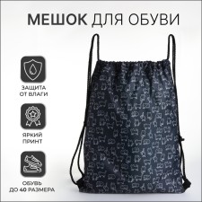 Bag for shoes on the lace, black color