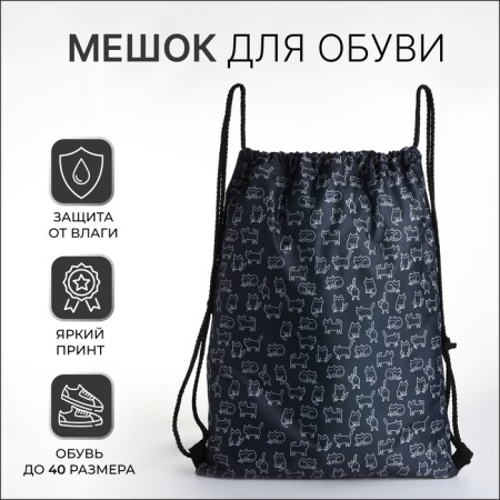 Bag for shoes on the lace, black color