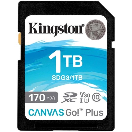 Memory SDXC 1TB Kingston SDG3/1TB Canvas GO! Plus W/O
