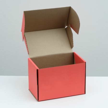 Self -charged box, red, 26.5 x 16.5 x 19 cm-2