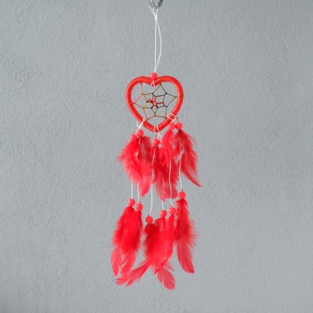 Dreams "Heart with a web" mix 6x25 cm
