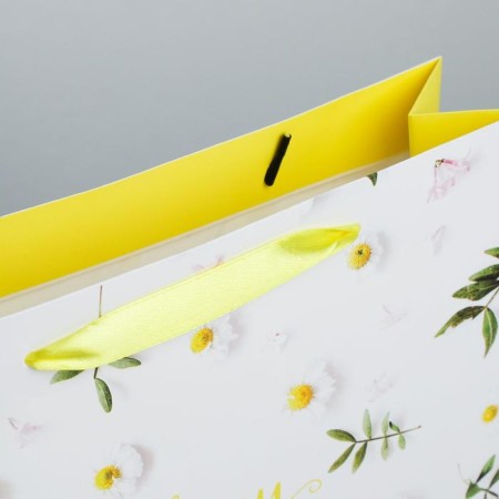 Package Gift Laminated Horizontal, Packaging, Flower Happiness, ML 27 x 23 x 11.5 cm-3