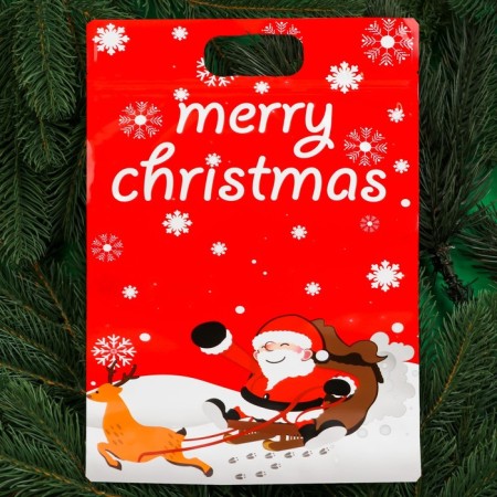 Gift package, "Happy New Year!", With ZIP-Lock Flasp, 20x30+4.5 cm