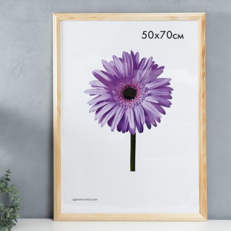 Photo frame Linda 50x70 cm unpainted (plastic screen)