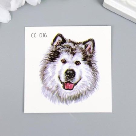 Tattoo on the body Color "Northern Dog" 6x6 cm