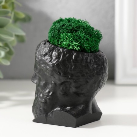 Concrete Kashpo "Prometheus" height 6.5 cm, width 5 cm black with moss (moss green. Stabil)-3