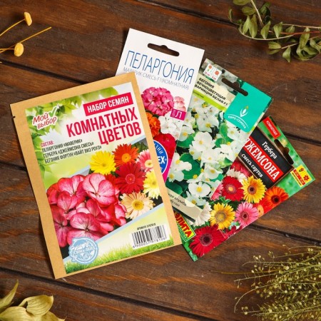 Set of indoor flowers "Hit Sales"
