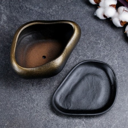 Bonsai Small pot of gold, 0.6, l/ 17x14x8cm-3
