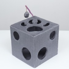 Cat house 