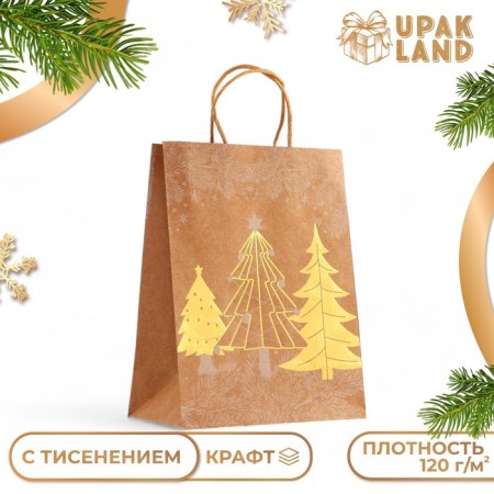 Golden embossing craft package, round handle, "Born Forest" 21 x 27 x 11 cm, 120 g 10574