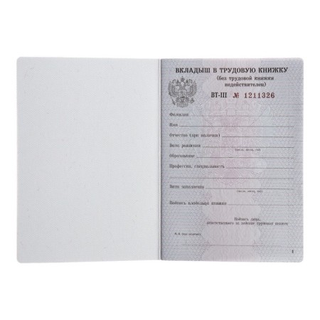 Liner in the workbook without hologram-4